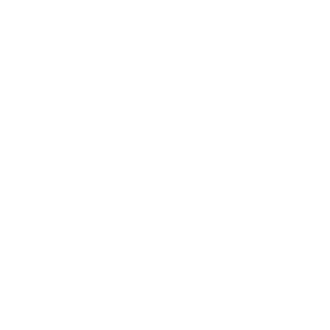 Icon Process
