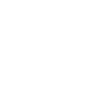 Icon Time